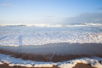 Wall Mural - Extreme wide-angle scenic at Pensacola Beach in Florida. Seagulls, breakers, blue skies, emerald waters