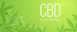 Cannabidiol design banner template. CBD cannabidiol formula. Background.