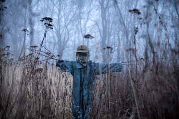  Terrible scarecrow in dark cloak and dirty hat stands alone in a tall grass field. Halloween concept