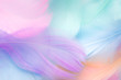 canvas print picture - pastel colour feather abstract background