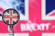 © J-L Flémal - BE - Angleterre anglais britannique Grande Bretagne Brexit europe