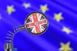 © J-L Flémal - BE - Angleterre anglais britannique Grande Bretagne Brexit europe
