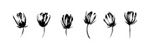 Hand Drawn Abstract Modern Flowers Set Painted By Ink. Grunge Style Brush Painting Vector Blossom Silhouettes. Black Isolated Imprint On White Background