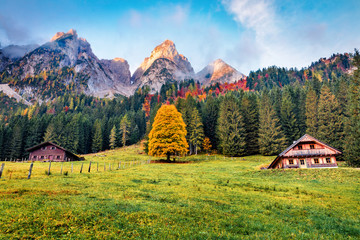 Sticker - First sunlight glowint mountain peaks. Amazing autumn view of Daeumling mountain range, Gosau Lake (Vorderer Gosausee) location. Splendid scene of Austrian Alps, Gosau Valley, Austria, Europe.