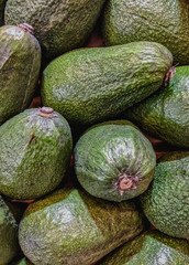 avocado in the market