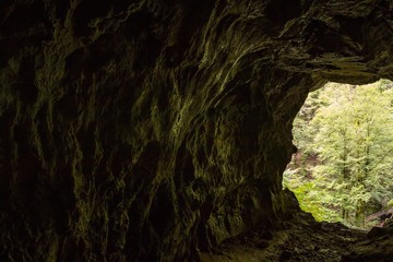 Wall Mural - muzeva hizica cave from the inside with a view to a forest in skrad in croatia
