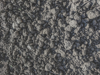 Wall Mural - Dirt road texture Soil background	