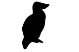 Fototapeta Pokój dzieciecy - black silhouette of a bird