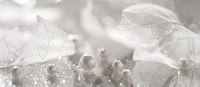 Beautiful Composition Macro Of White Transparent Leaves Skeleton And Pearl Beads On A Mirror Background, Border. Festive Greeting Card. Selective Focus.