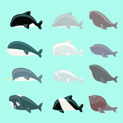 Wall Mural - sea mammals set