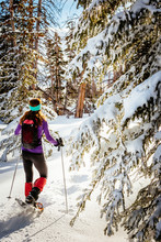 Sabina Allemann Is  Hiking Wearing Snowshoes In Cedar Breaks National Monument.
