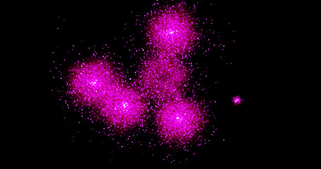 Canvas Print - Fireworks explosion spark on a black background