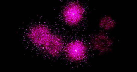 Canvas Print - Fireworks explosion spark on a black background