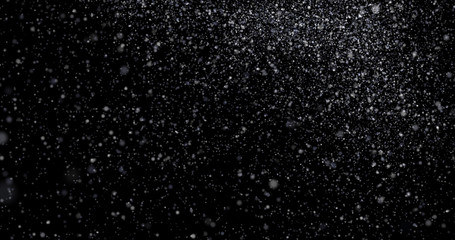 Wall Mural - Natural white winter snowfall on a black background