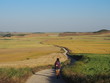© Mithrax - Pilgrim walking through beautiful agricultural landscape on the road to Santiago de Compostela, Camino de Santiago, Way of St. James,  Journey from Castrojeriz to Poblacion de Campos, French way, Spai