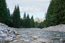 Shallow Forest River, Round Stones And Coniferous Trees On Both Sides, Mount Krivan Peak (Symbol Of Slovakia) With Afternoon Clouds In Distance