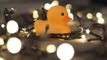 Close-up Shot Of Rubber Duck On Background Of Christmas Garland On A Playd. Home Decor