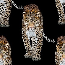Vector Sketch Of Walks Leopard.Seamless Leo Pattern.Animal Print.Wildlife.