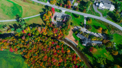 Wall Mural - Autumn gold color forest aerial view.