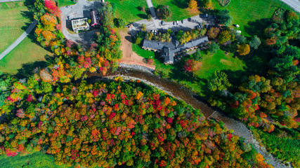 Wall Mural - Autumn gold color forest aerial view.