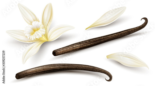 Fotografía Set of Vanilla flower with dried vanilla sticks and petals