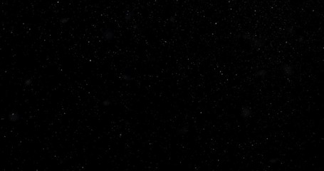 Wall Mural - natural white winter snowfall on a black background