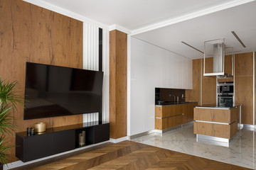 Wall Mural - open space apartment in wood