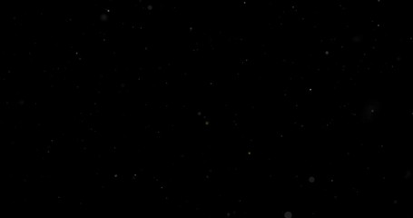 Wall Mural - flying dust particles on a black background