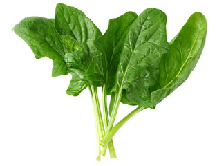 Wall Mural - spinach leaves isolate on white background. Healthy food.