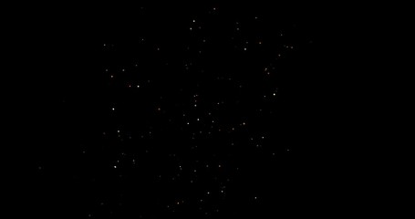 Canvas Print - Flying dust particles on a black background
