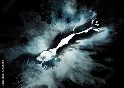 羽ばたく抽象的な鳥 Stock イラスト Adobe Stock