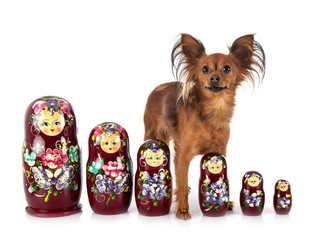 Wall Mural - Russian dolls and russkiy toy