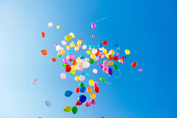 Wall Mural - Flying balloons in blue sky with clouds