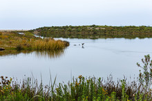 View Ofmalibu Lagoon State Park Bird Santuary