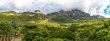 Panorama of the east side of table mountain and the forest of the botanical garden Kirstenbosch, treetop path, Cape Town, South Africa
