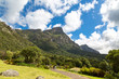 View from the botanical garden Kirstenbosch to the mountains and the forest on a sunny day, Cape Town, South Africa
