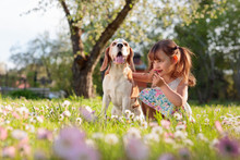 Happy Little Girl Playing With Dog In Garden.