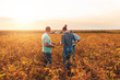© Zoran Zeremski - Farmers standing in a field examining soybean crop before harvesting during sunset.