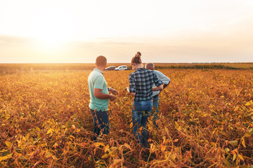 Farmers standing in a field examining soybean crop before harvesting during sunset.