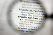 The word or phrase Trade union in a dictionary.