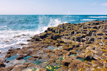 Wall Mural - summer giants causeway coastline,Northern Ireland