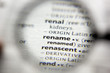 The word or phrase Rename in a dictionary.