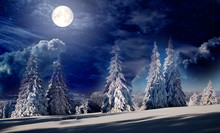 Fairy Spruce Trees In The Winter, Hills At Full Moon