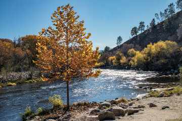 Wall Mural - Autumn On The Kern 3