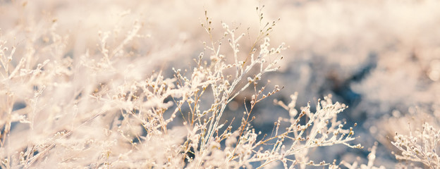 Canvas Print - Abstract winter frost close up with blurred background.