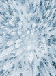 © Danny Pellissier/Stocksy - Snowy trees on a cold winter morning