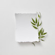 © Yaroslav Danylchenko/Stocksy - Composition of green leaves and branches with a blank sheet for text on a gray paper background. Natural layout for postcard. Flat lay