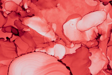 Abstract Coral Color Fluid Background