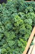 © Tim Davis - Kale for sale at a market
