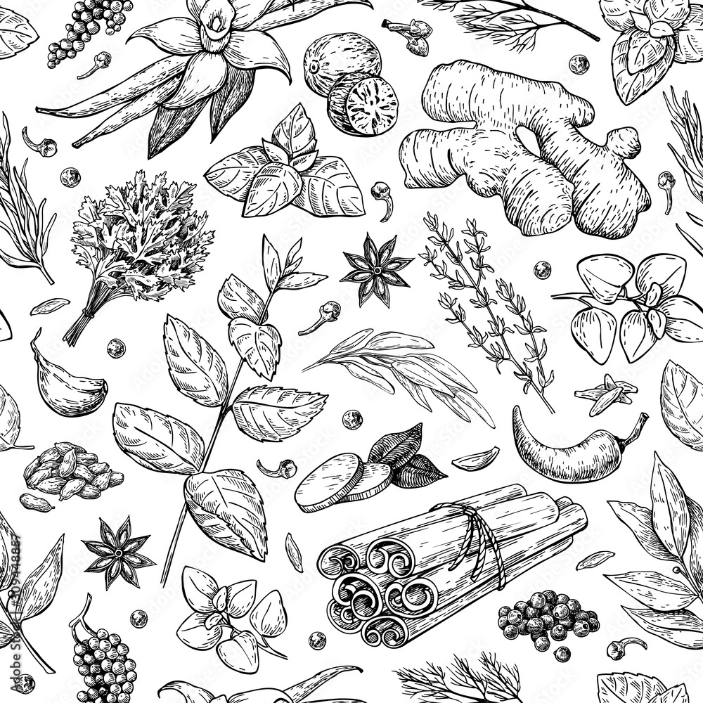 Herbs and spice seamless pattern. Vector drawing background. - obrazy, fototapety, plakaty 
